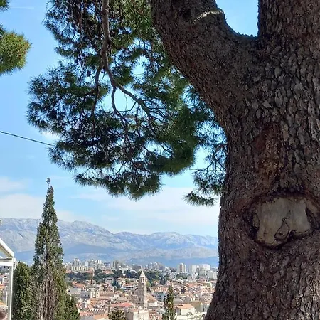 Nona Tonka * 스플리트