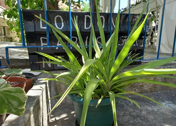 Lägenhet Nona Tonka Split